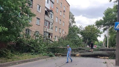Олександрійська міськрада виділить гроші на ремонт багатоповерхівки, на яку впало дерево