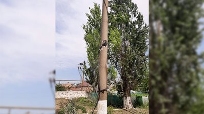Нові знеструмлення у Запорізькій області