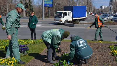 На площі в Одесі з квітів викладуть Герб України На площі в Одесі з квітів викладуть Герб України