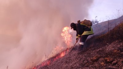 На Закарпатті горіла суха трава – вогнем знищено 4 гектари сухостою На Закарпатті горіла суха трава – вогнем знищено 4 гектари сухостою