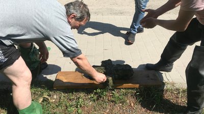 У Стрипі на Тернопільщині знайшли кам'яний хрест У Стрипі на Тернопільщині знайшли кам'яний хрест