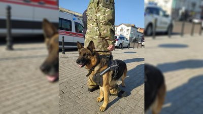 У Ніжині біля будівлі міськвиконкому знайшли підозрілий пакунок У Ніжині біля будівлі міськвиконкому знайшли підозрілий пакунок