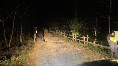 ДТП у Космачі