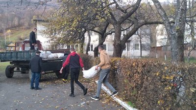 Понад 20 мішків яблук зібрали школярі для ведмедів, які проживають у НПП "Синевир" Понад 20 мішків яблук зібрали школярі для ведмедів, які проживають у НПП "Синевир"