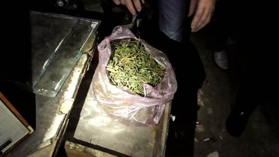 У Генічеську на Херсонщині чоловік вирощував розсаду конопель У Генічеську на Херсонщині чоловік вирощував розсаду конопель