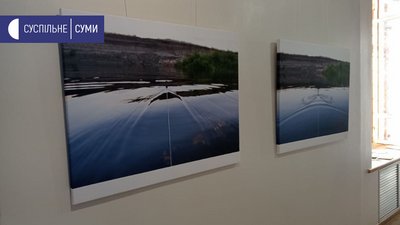 Посіяли пшеницю на підлозі виставкової зали: інсталяція харківської мисткині у Сумах Посіяли пшеницю на підлозі виставкової зали: інсталяція харківської мисткині у Сумах