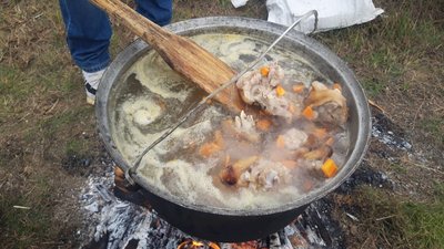 Холодноярський сад: на Черкащині збирають урожай і кошти на ЗСУ Холодноярський сад: на Черкащині збирають урожай і кошти на ЗСУ