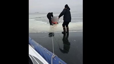 Рибалив на Дніпрі: у Черкасах врятували чоловіка, який тонув