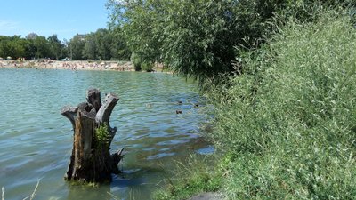 У Сумах перевірили три місця для купання