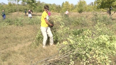 З часів козаччини: у селі на Черкащині під час толоки знайшли старовинні поховання З часів козаччини: у селі на Черкащині під час толоки знайшли старовинні поховання