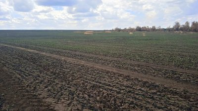 "Нормальне" життя для воєнного часу. Як живуть і працюють під "Градами" люди в селі на Криворіжжі "Нормальне" життя для воєнного часу. Як живуть і працюють під "Градами" люди в селі на Криворіжжі