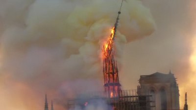 У Франції зрізають 200-літні дуби для відновлення шпилю Нотр-Дама У Франції зрізають 200-літні дуби для відновлення шпилю Нотр-Дама