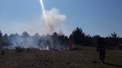 Протягом минулої доби на Львівщині зафіксували 31 пожежу сухостою Протягом минулої доби на Львівщині зафіксували 31 пожежу сухостою