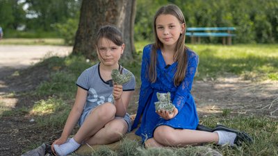 Сіномотання у Росішках Сіномотання у Росішках