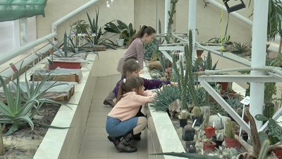 Так діти вчаться догляду за рослинами Так діти вчаться догляду за рослинами