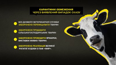 На Полтавщині через виявлений випадок сказу у восьми селах вакцинуватимуть тварин На Полтавщині через виявлений випадок сказу у восьми селах вакцинуватимуть тварин