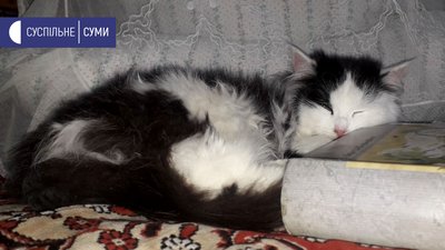 "Не зловживав алкоголем, цікавився життям". Секрети довголіття 100-річного мешканця Сумщини "Не зловживав алкоголем, цікавився життям". Секрети довголіття 100-річного мешканця Сумщини