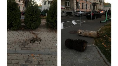 У Києві невідомі зруйнували скульптуру "Їжачка в тумані" У Києві невідомі зруйнували скульптуру "Їжачка в тумані"