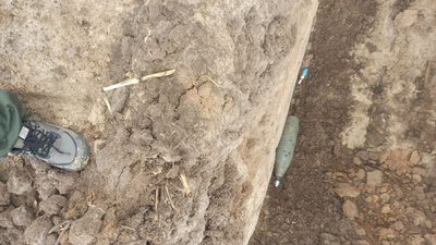 Фото: поліція Київської області/Facebook Фото: поліція Київської області/Facebook