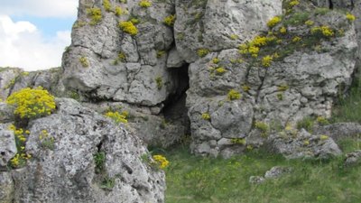 Музикова скала, товтри, скелі, гори, тернопільщина