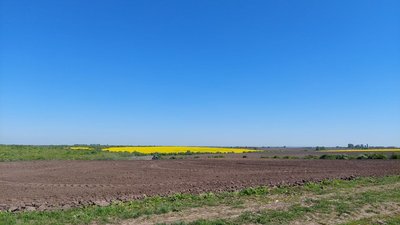 Поле в селі Грімне, 30 квітня 2024 Поле в селі Грімне, 30 квітня 2024