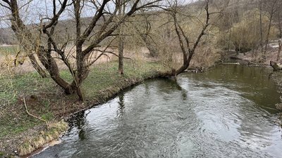незаконний влов риби, нерест, нерестова заборона, заповідник