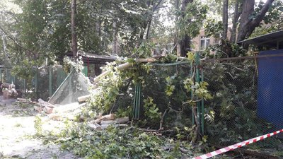 Травмовані люди, підтоплені домівки та повалені дерева: наслідки негоди на Одещині Травмовані люди, підтоплені домівки та повалені дерева: наслідки негоди на Одещині