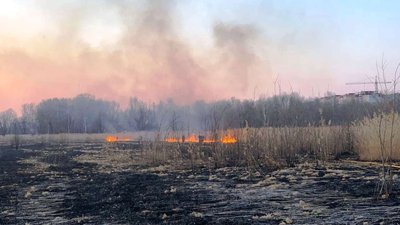 На Франківщині за одну добу зафіксували 84 пожежі сухої трави