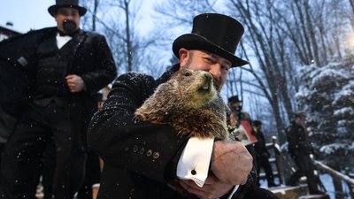 Коли настане весна: у США прокинувся бабак Філ і дав свій прогноз