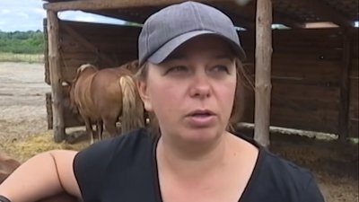 Управляє активною стайнею. Наталія Журбіна. СУСПІЛЬНЕ | ЛЮДИ
