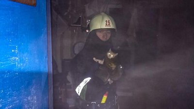 На пожежі під Харковом врятували руде кошеня