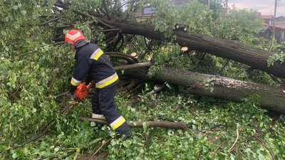 Наслідки грози в Івано-Франківську: підтоплені вулиці та повалені дерева Наслідки грози в Івано-Франківську: підтоплені вулиці та повалені дерева