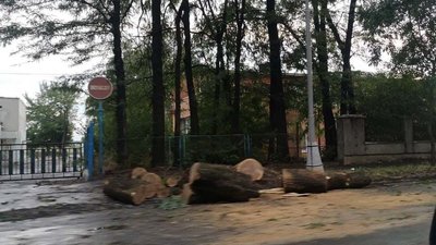На Закарпатті через негоду майже 100 населених пунктів залишилися без світла На Закарпатті через негоду майже 100 населених пунктів залишилися без світла