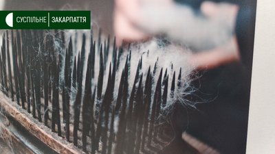 Фотовиставку "Шлях гуні" відкрили в Ужгороді