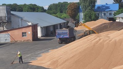 На Тернопільщині комбінат хлібопродуктів не може відвантажити зерно на експорт