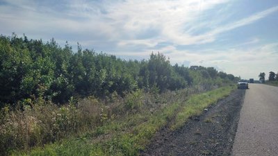 ДТП на Черкащині: двоє травмованих, серед них — 15-річна дівчина ДТП на Черкащині: двоє травмованих, серед них — 15-річна дівчина