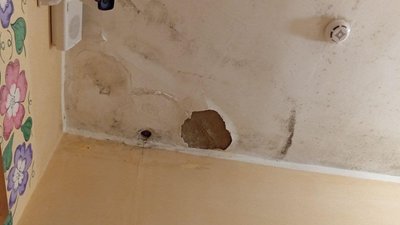У дитячому притулку на Закарпатті вдруге виявили порушення прав дітей: які саме