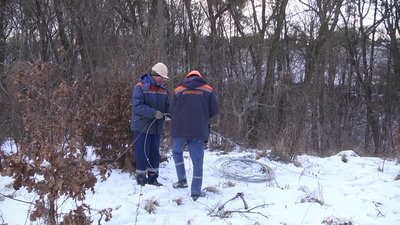 На Житомирщині через негоду залишилися без світла три села Глибочицької громади На Житомирщині через негоду залишилися без світла три села Глибочицької громади