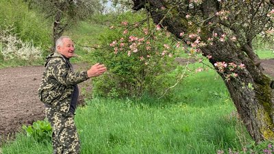 Назви деяких із них забулися: на Черкащині квітнуть яблуні Симиренка, яким понад півтора століття Назви деяких із них забулися: на Черкащині квітнуть яблуні Симиренка, яким понад півтора століття