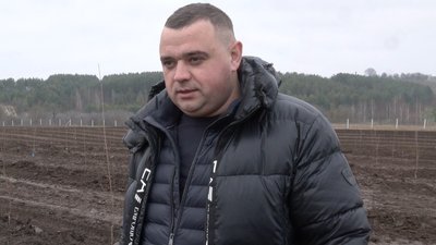 На Волині заклали найбільший вишневий сад На Волині заклали найбільший вишневий сад