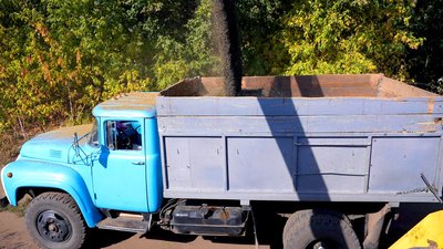 На Вінниччині триває збір соняшника: яка врожайність та ціна за культуру На Вінниччині триває збір соняшника: яка врожайність та ціна за культуру
