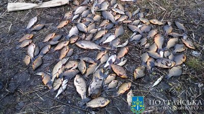 Рибне браконьєрство у Полтавській області: підозрюють жителя Миргорода