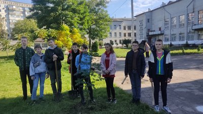 Смартмоб для житомирських школярів: на території ліцею №24 учні висадили дерева липи та горобини