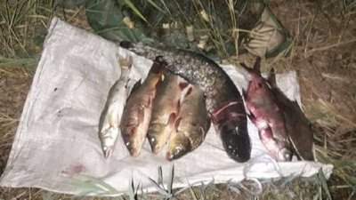 Збитків на 19 тисяч гривень: на Херсонщині виявили браконьєрів
