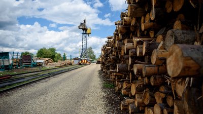 У Вигоді на Івано-Франківщині відкрили цех із перероблення деревини У Вигоді на Івано-Франківщині відкрили цех із перероблення деревини