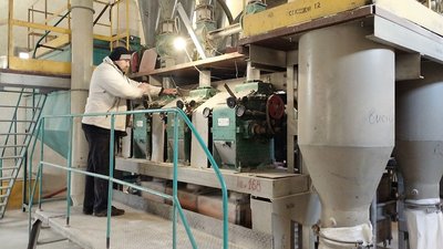 Сільгоспвиробники Кіровоградщини збільшили переробку зерна. Куди дівають продукцію і як підтримує держава Сільгоспвиробники Кіровоградщини збільшили переробку зерна. Куди дівають продукцію і як підтримує держава