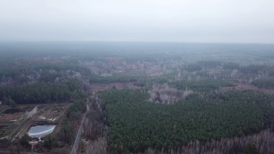 На третину менше: на Харківщині завершили підрахунок бобрів На третину менше: на Харківщині завершили підрахунок бобрів