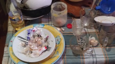 Прикарпатка може позбутися шістьох дітей через антисанітарію у домі Прикарпатка може позбутися шістьох дітей через антисанітарію у домі