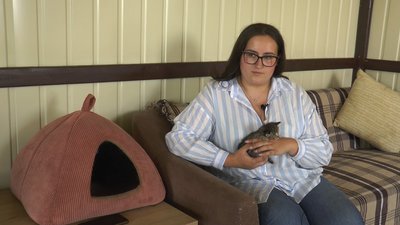 Шість котів з-під Харкова лікують у притулку для тварин поблизу Івано-Франківська Шість котів з-під Харкова лікують у притулку для тварин поблизу Івано-Франківська