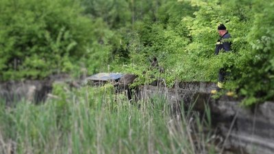 Біля Рівного врятували самку лося з води. ДСНС показала відео Біля Рівного врятували самку лося з води. ДСНС показала відео